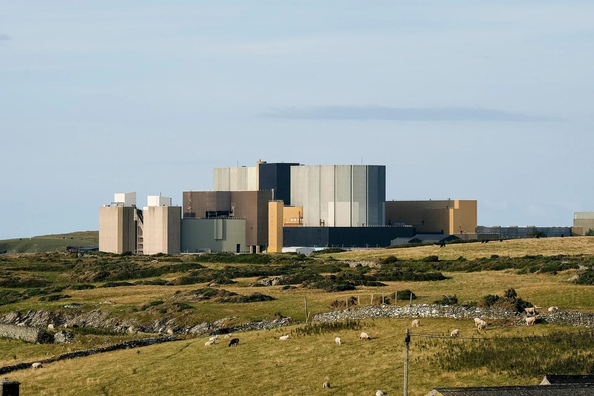 The Wylfa nuclear power station buildings on the Anglesey coast, with sheep grazing in front