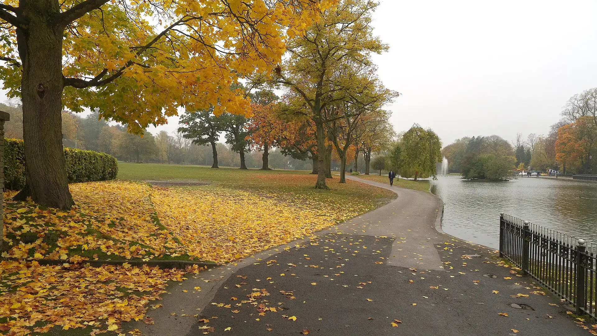 Autumn trees and fallen leaves beside the lake in Cannon Hill Park, Birmingham