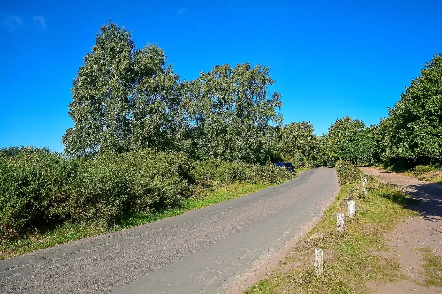 A path through heathland and trees in Sutton Park on a sunny day