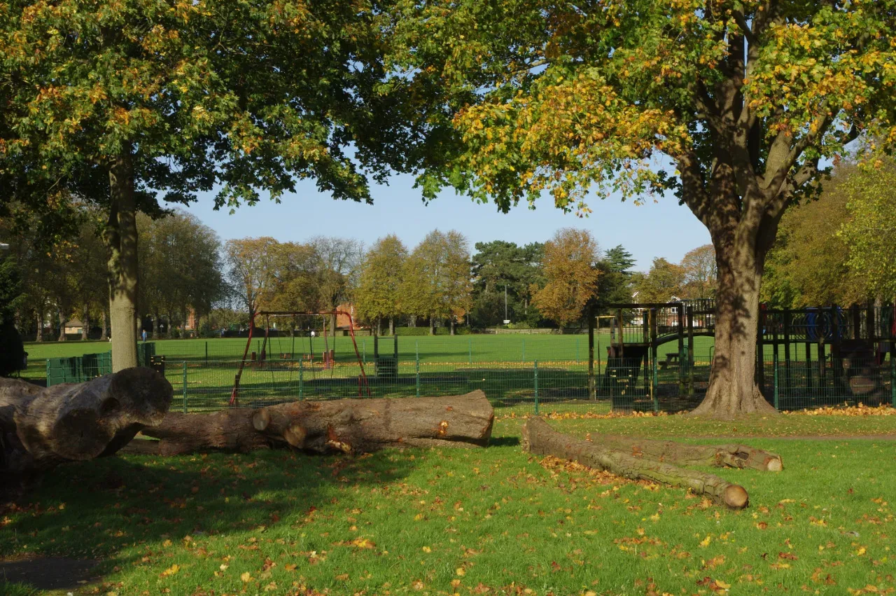 Trees and open grass at Whitehall Recreation Ground in Rugby