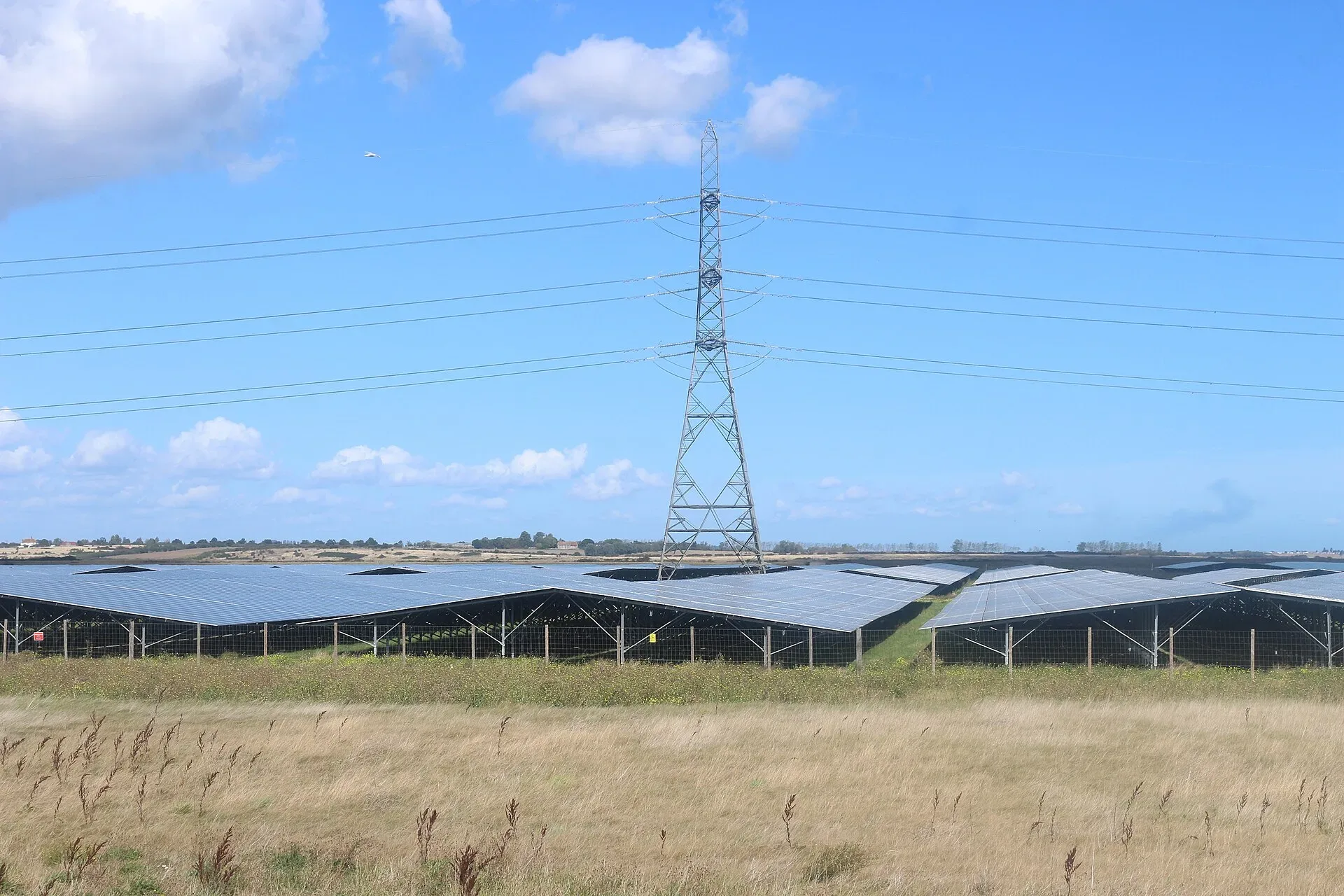 Rows of solar panels beneath a pylon at Cleve Hill Solar Park